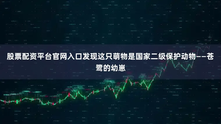 股票配资平台官网入口发现这只萌物是国家二级保护动物——苍鹭的幼崽