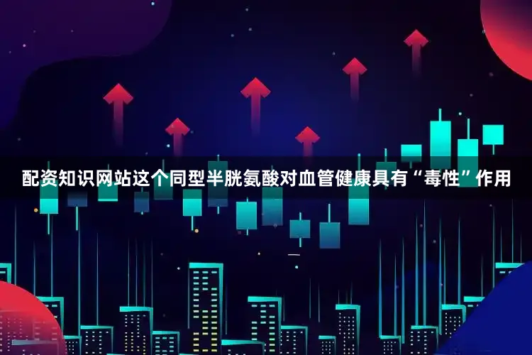 配资知识网站这个同型半胱氨酸对血管健康具有“毒性”作用