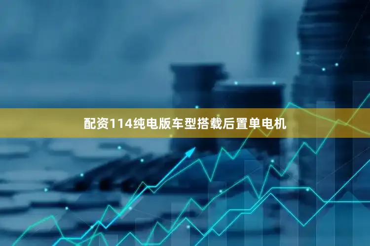 配资114纯电版车型搭载后置单电机